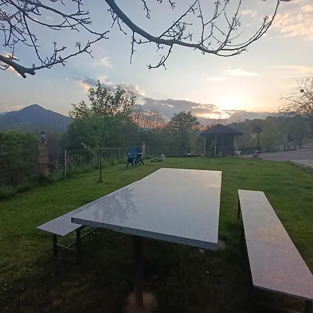 El Puntual